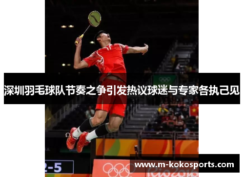 深圳羽毛球队节奏之争引发热议球迷与专家各执己见